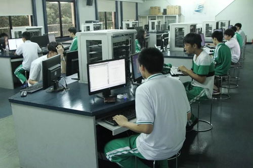 實習(xí)匯報 網(wǎng)絡(luò)信息技術(shù)服務(wù)實踐與成長